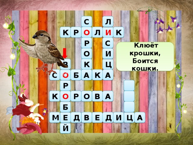  Клюёт крошки, Боится кошки. С Л Л Р И К К О С Р О И В К Ц А О А Б К С Р Р К О О В А Б М А Д В Е Д И Ц Е Й 