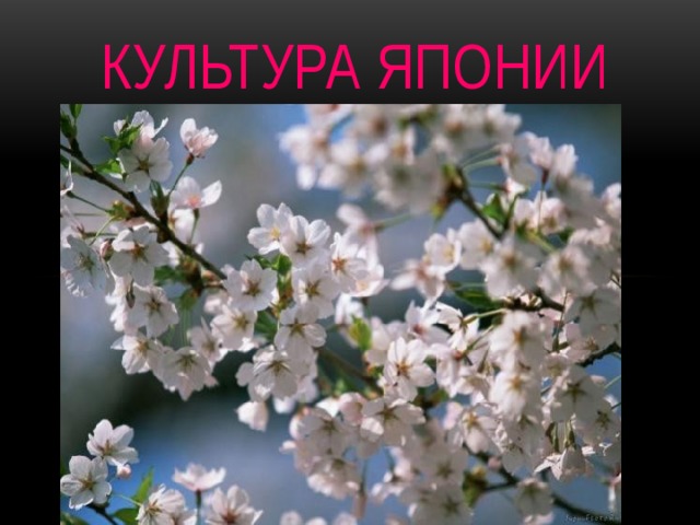 Культура Японии 