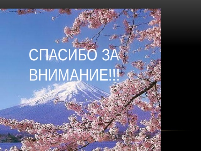 Спасибо за внимание!!! 