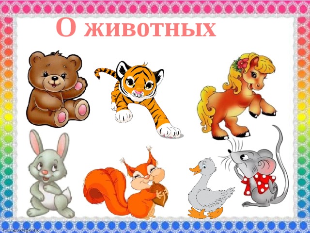 О животных 