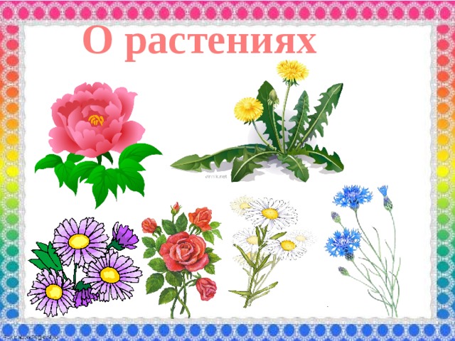 О растениях 