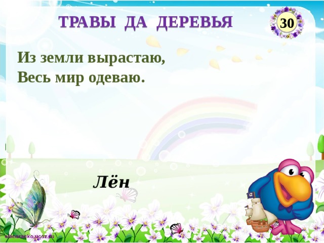 ТРАВЫ ДА ДЕРЕВЬЯ 30 Из земли вырастаю, Весь мир одеваю. Лён  