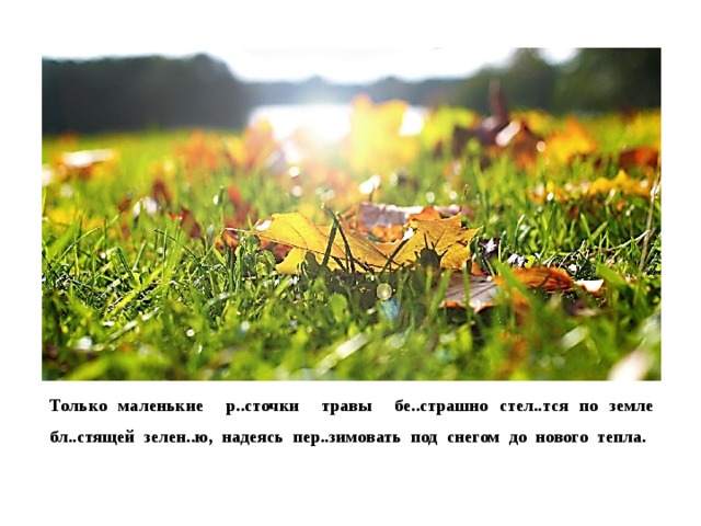 Только маленькие р..сточки травы бе..страшно стел..тся по земле бл..стящей зелен..ю, надеясь пер..зимовать под снегом до нового тепла. 