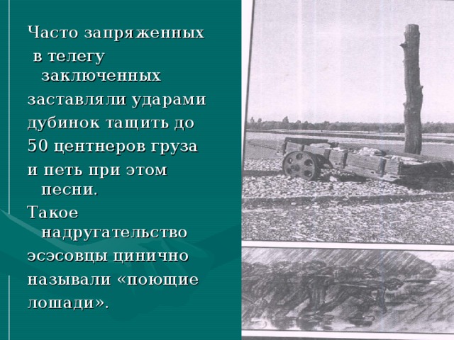 Часто запряженных  в телегу заключенных заставляли ударами дубинок тащить до 50 центнеров груза и петь при этом песни. Такое надругательство эсэсовцы цинично называли «поющие лошади». 