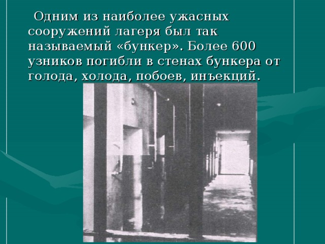  Одним из наиболее ужасных сооружений лагеря был так называемый «бункер». Более 600 узников погибли в стенах бункера от голода, холода, побоев, инъекций. 