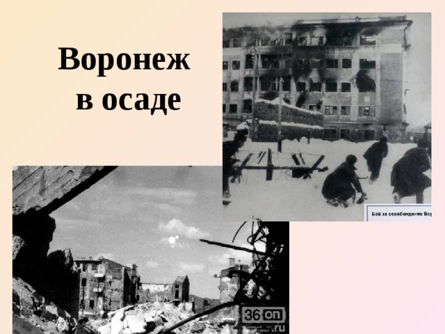 Воронеж  в осаде www.deti-66.ru 