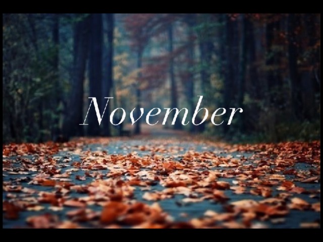 Americans vote for the president in... January April November December 