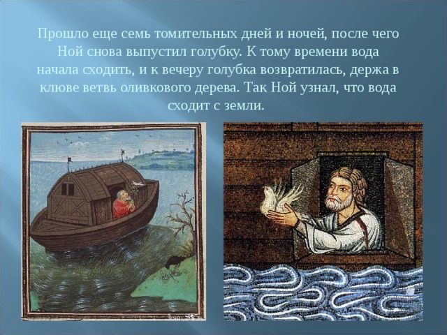Прошло еще семь томительных дней и ночей, после чего Ной снова выпустил голубку. К тому времени вода начала сходить, и к вечеру голубка возвратилась, держа в клюве ветвь оливкового дерева. Так Ной узнал, что вода сходит с земли. 