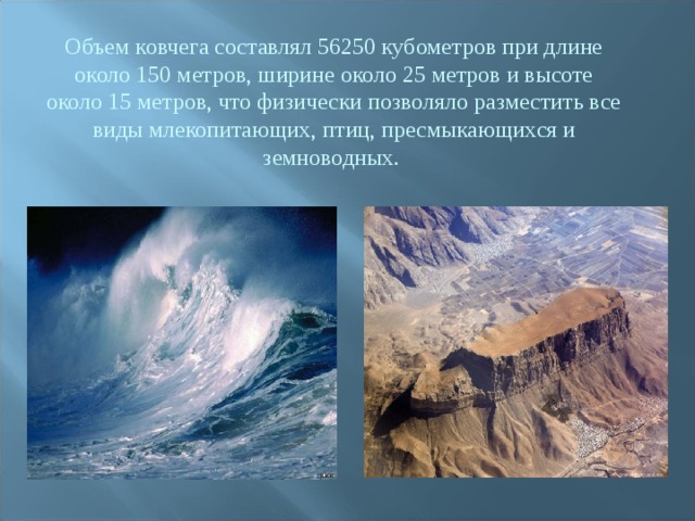 Объем ковчега составлял 56250 кубометров при длине около 150 метров, ширине около 25 метров и высоте около 15 метров, что физически позволяло разместить все виды млекопитающих, птиц, пресмыкающихся и земноводных. 