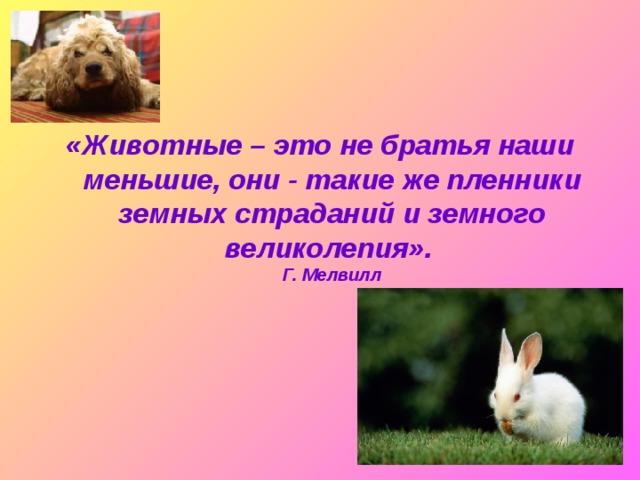 «Животные – это не братья наши меньшие, они - такие же пленники земных страданий и земного великолепия».   Г. Мелвилл 
