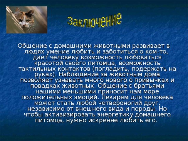 Общение с домашними животными развивает в людях умение любить и заботиться о ком-то, дает человеку возможность любоваться красотой своего питомца, возможность тактильных контактов (погладить, подержать на руках). Наблюдение за животным дома позволяет узнавать много нового о привычках и повадках животных. Общение с братьями нашими меньшими приносит нам море положительных эмоций. Лекарем для человека может стать любой четвероногий друг, независимо от внешнего вида и породы. Но чтобы активизировать энергетику домашнего питомца, нужно искренне любить его. 