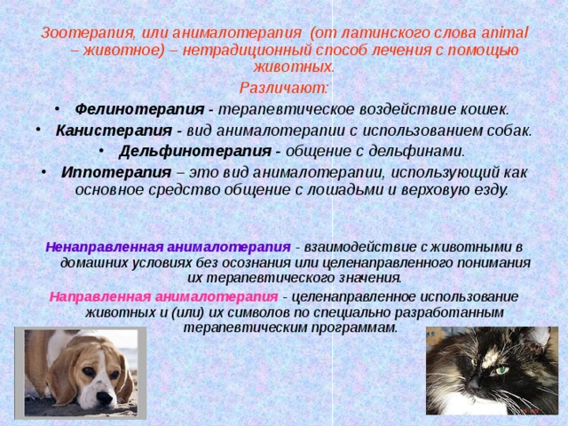 Зоотерапия, или анималотерапия (от латинского слова animal – животное) – нетрадиционный способ лечения с помощью животных. Различают: Фелинотерапия - терапевтическое воздействие кошек. Канистерапия - вид анималотерапии с использованием собак. Дельфинотерапия - общение с дельфинами. Иппотерапия – это вид анималотерапии, использующий как основное средство общение с лошадьми и верховую езду.   Ненаправленная анималотерапия - взаимодействие с животными в домашних условиях без осознания или целенаправленного понимания их терапевтического значения. Направленная анималотерапия - целенаправленное использование животных и (или) их символов по специально разработанным терапевтическим программам.    