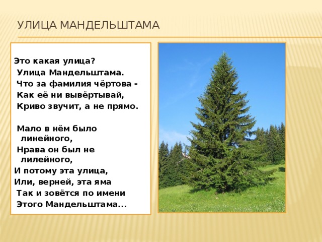  Улица Мандельштама    Это какая улица?  Улица Мандельштама.  Что за фамилия чёртова -  Как её ни вывёртывай,  Криво звучит, а не прямо.   Мало в нём было линейного,  Нрава он был не лилейного, И потому эта улица, Или, верней, эта яма  Так и зовётся по имени  Этого Мандельштама... 