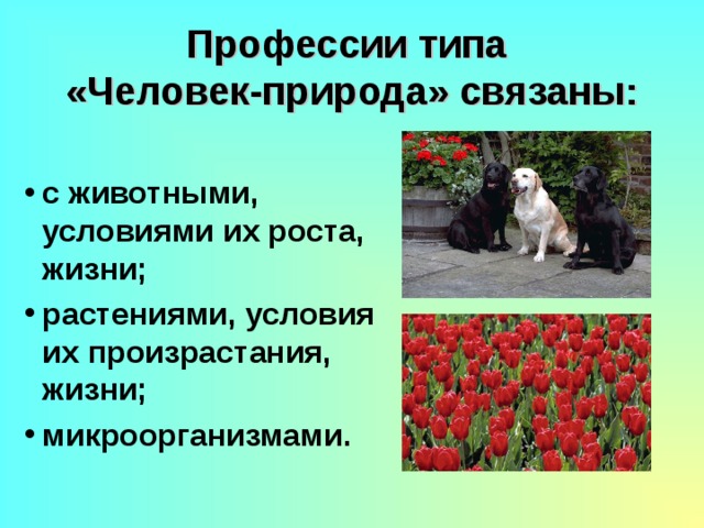 Профессии типа  «Человек-природа» связаны:    с животными, условиями их роста, жизни; растениями, условия их произрастания, жизни; микроорганизмами. с животными, условиями их роста, жизни; растениями, условия их произрастания, жизни; микроорганизмами. с животными, условиями их роста, жизни; растениями, условия их произрастания, жизни; микроорганизмами. 
