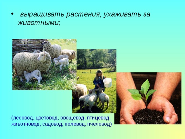  выращивать растения, ухаживать за животными;  (лесовод, цветовод, овощевод, птицевод, животновод, садовод, полевод, пчеловод) 