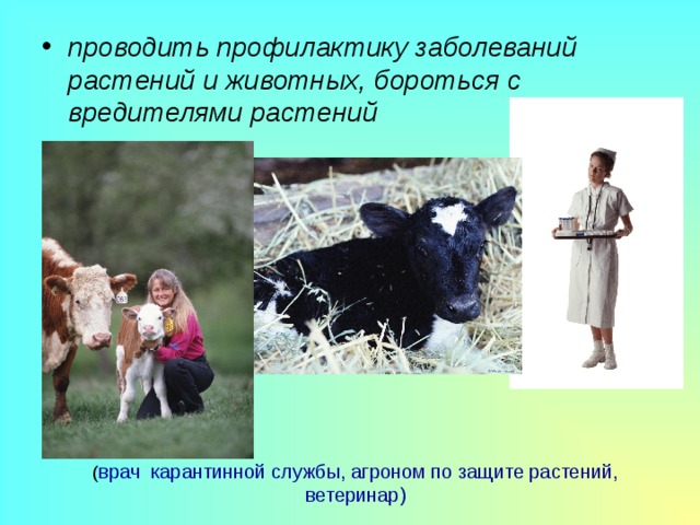проводить профилактику заболеваний растений и животных, бороться с вредителями растений ( врач карантинной службы, агроном по защите растений, ветеринар) 