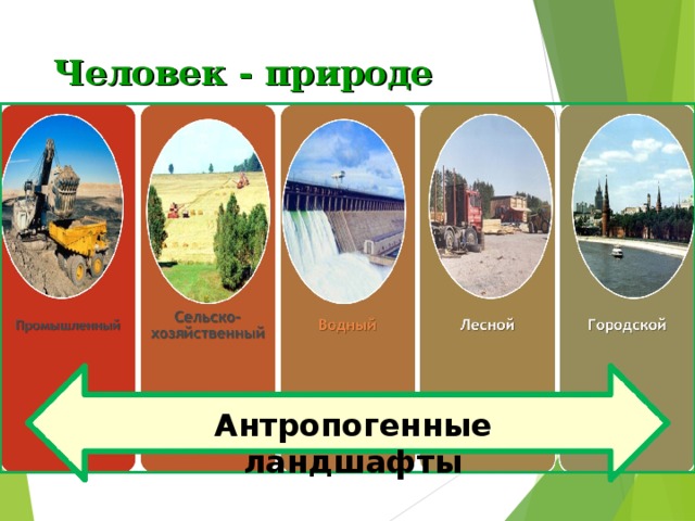 Человек - природе Антропогенные ландшафты 