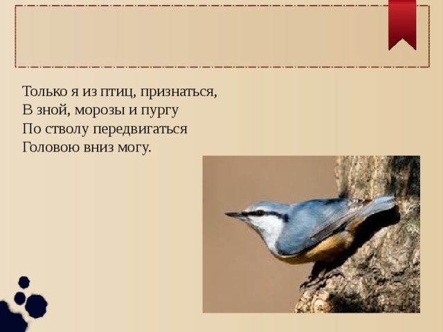 Только я из птиц, признаться, В зной, морозы и пургу По стволу передвигаться Головою вниз могу. 