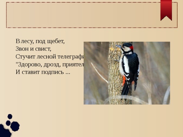 В  лесу, под щебет, Звон и свист, Стучит лесной телеграфист: 