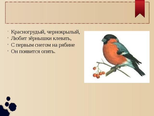 Красногрудый, чернокрылый, Любит зёрнышки клевать, С первым снегом на рябине Он появится опять. 
