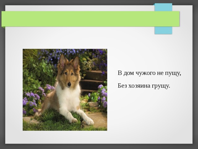 В дом чужого не пущу, Без хозяина грущу. 