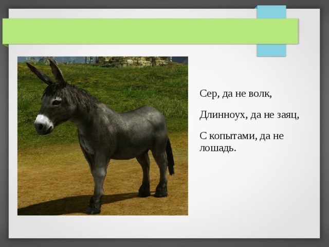 Сер, да не волк, Длинноух, да не заяц, С копытами, да не лошадь. 