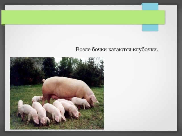 Возле бочки катаются клубочки. 
