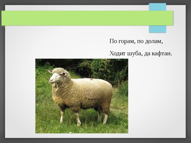 По горам, по долам, Ходит шуба, да кафтан. 