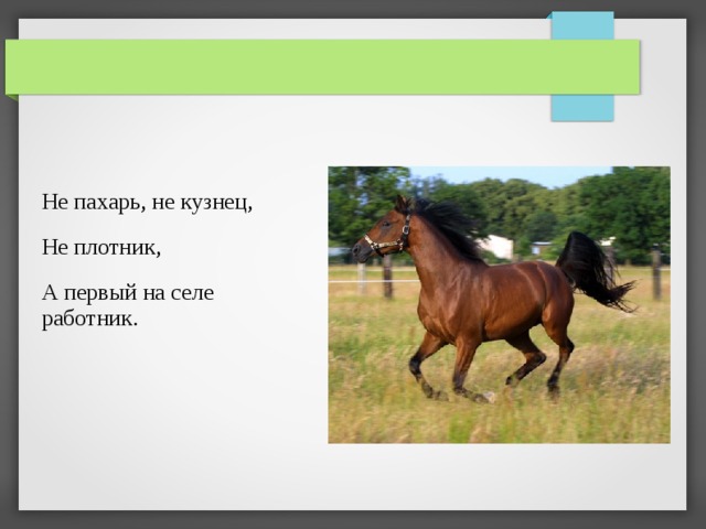 Не пахарь, не кузнец, Не плотник, А первый на селе работник. 