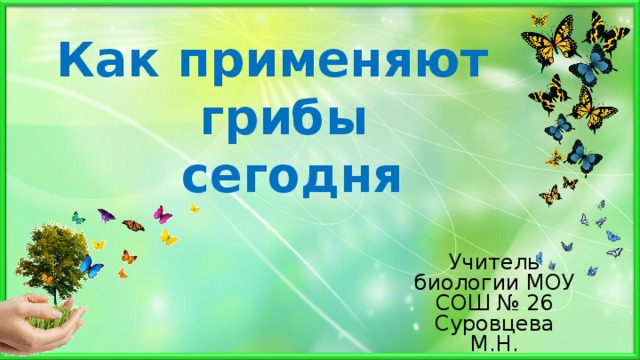 Как применяют грибы  сегодня   Учитель биологии МОУ СОШ № 26 Суровцева М.Н. 