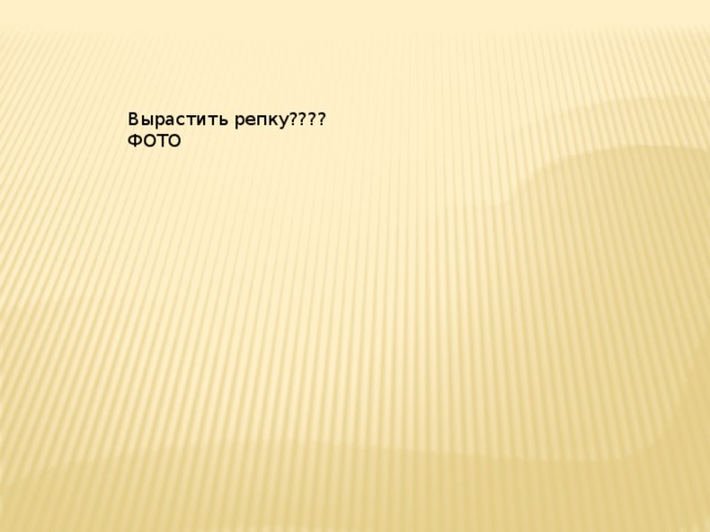 Вырастить репку???? ФОТО 