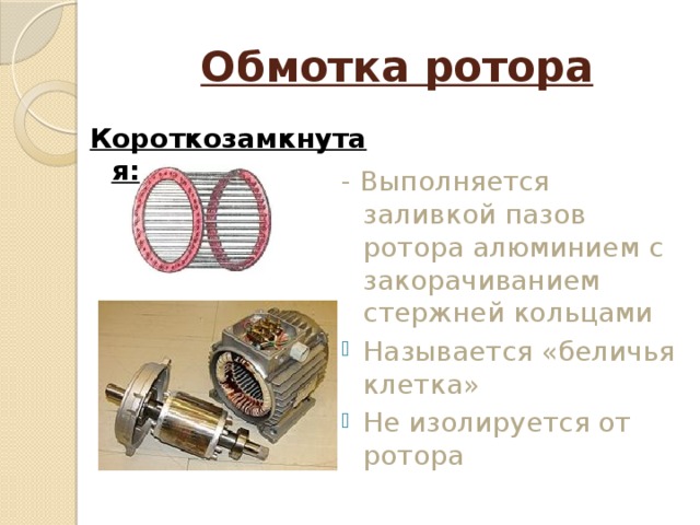 Обмотка ротора Короткозамкнутая: - Выполняется заливкой пазов ротора алюминием с закорачиванием стержней кольцами  Называется «беличья клетка» Не изолируется от ротора     