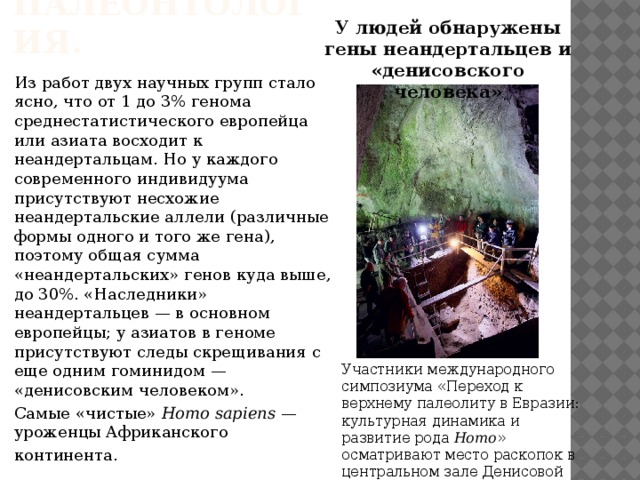 ПАЛЕОНТОЛОГИЯ. У людей обнаружены гены неандертальцев и «денисовского человека» Из работ двух научных групп стало ясно, что от 1 до 3% генома среднестатистического европейца или азиата восходит к неандертальцам. Но у каждого современного индивидуума присутствуют несхожие неандертальские аллели (различные формы одного и того же гена), поэтому общая сумма «неандертальских» генов куда выше, до 30%. «Наследники» неандертальцев — в основном европейцы; у азиатов в геноме присутствуют следы скрещивания с еще одним гоминидом — «денисовским человеком». Самые «чистые»  Homo sapiens  — уроженцы Африканского континента. Участники международного симпозиума «Переход к верхнему палеолиту в Евразии: культурная динамика и развитие рода  Homo » осматривают место раскопок в центральном зале Денисовой пещеры 