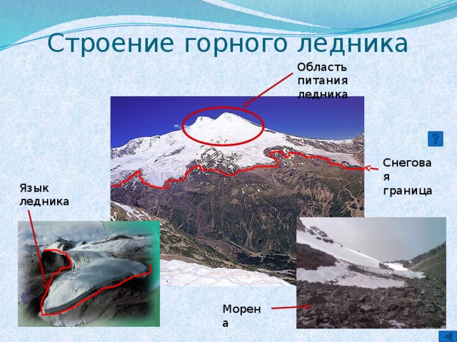 Строение горного ледника Область питания ледника Снеговая граница Язык ледника Морена 