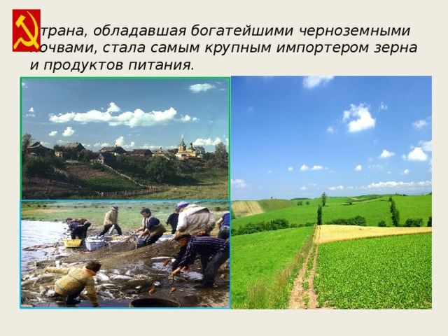 Страна, обладавшая богатейшими черноземными почвами, стала самым крупным импортером зерна и продуктов питания. 