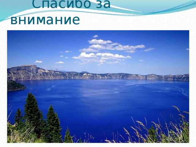  Спасибо за внимание 