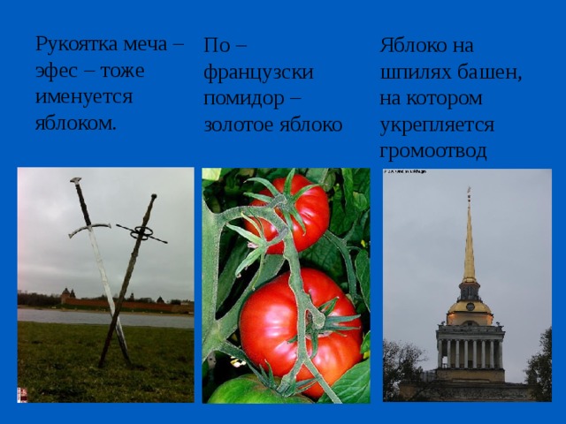 Рукоятка меча – эфес – тоже именуется яблоком. Яблоко на шпилях башен, на котором укрепляется громоотвод По – французски помидор – золотое яблоко 
