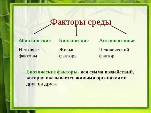Факторы среды Абиотические Неживые факторы Биотические  Живые факторы Антропогенные Человеческий фактор Биотические факторы- вся сумма воздействий, которая оказывается живыми организмами друг на друга  
