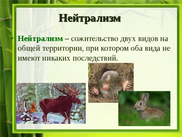 Нейтрализм Нейтрализм – сожительство двух видов на общей территории, при котором оба вида не имеют никаких последствий. 