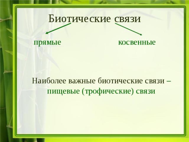 Биотические связи прямые косвенные Наиболее важные биотические связи – пищевые (трофические) связи 
