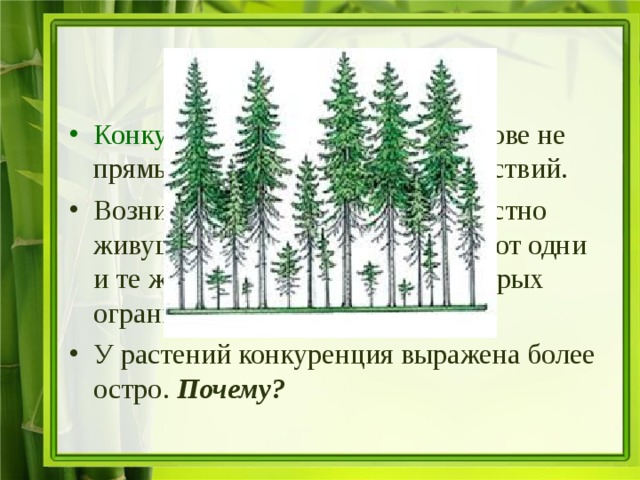 Конкуренция Конкуренция - возникает на основе не прямых , а косвенных взаимодействий. Возникает в случаях когда совместно живущие виды сообща используют одни и те же ресурсы, количество которых ограничено. У растений конкуренция выражена более остро. Почему? 