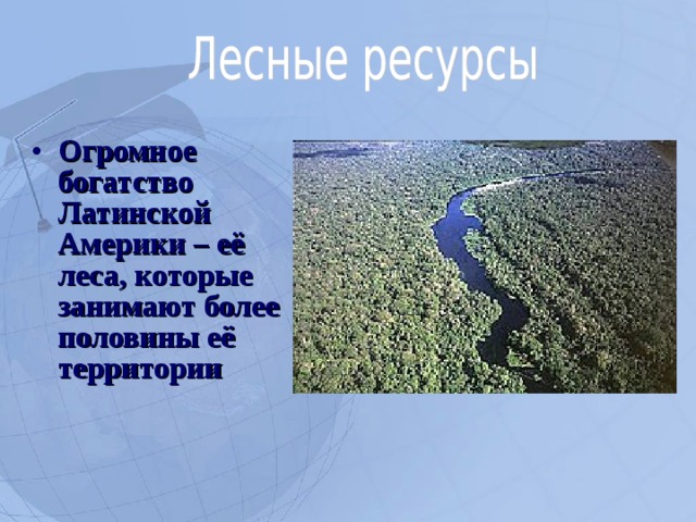 Огромное богатство Латинской Америки – её леса, которые занимают более половины её территории  