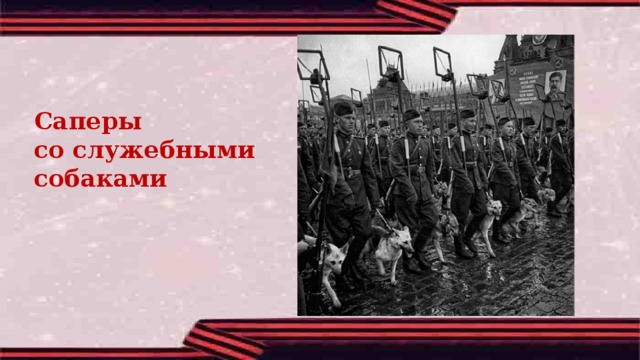 Саперы со служебными собаками 