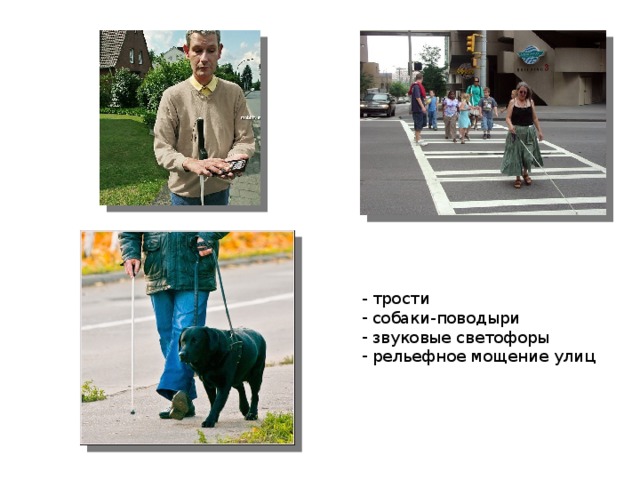 - трости  собаки-поводыри  звуковые светофоры  рельефное мощение улиц 