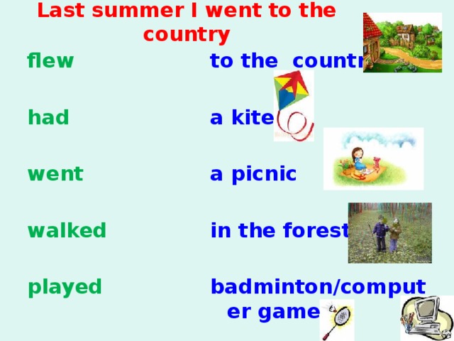 Last summer I went to the country flew to the country   had a kite   a picnic went   in the forest walked   played badminton/computer games 