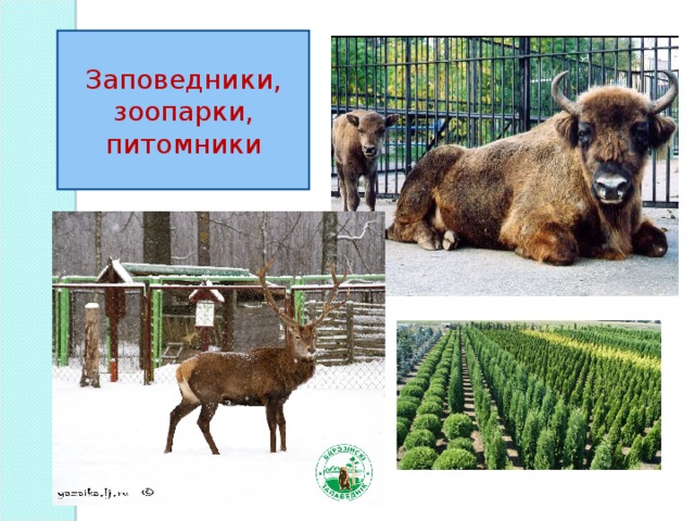 Заповедники, зоопарки, питомники 