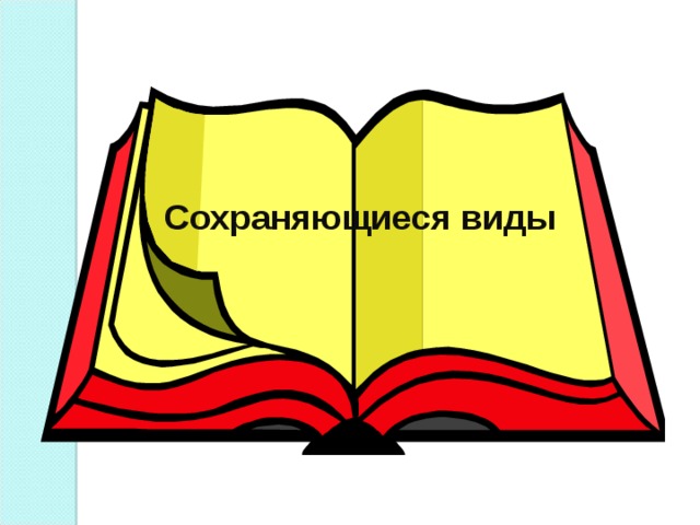 Сохраняющиеся виды 