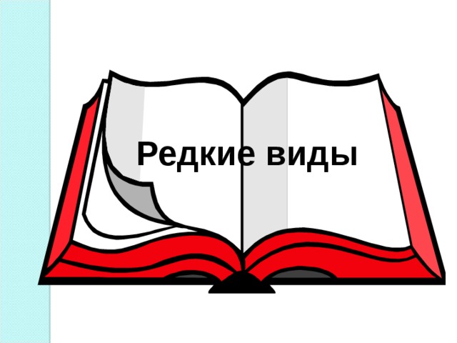 Редкие виды 