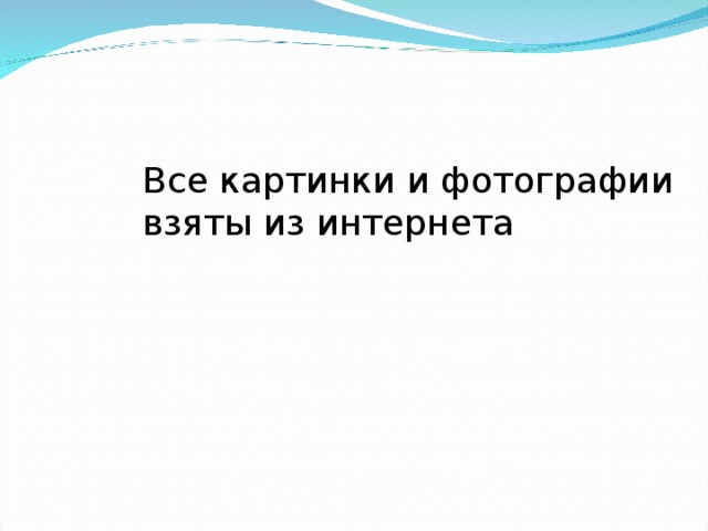 Все картинки и фотографии взяты из интернета 