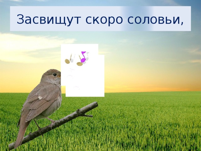 Засвищут скоро соловьи, 